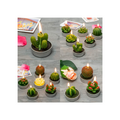 VELAS DE CACTUS SUCULENTAS